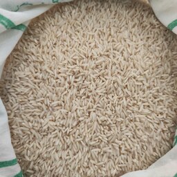 برنج هاشمی معطر ،کاشت امسال،ارسال رایگان(1کیلویی)