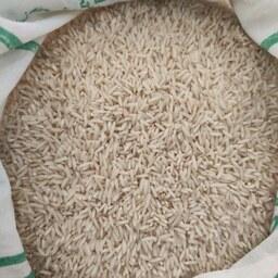 برنج هاشنی معطر،کاشت امسال،ارسال رایگان(5کیلویی)