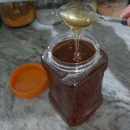 عسل بهبود دهنده طبیعی کوهی گون درجه یک محصولی از اشترانکوه خرید مستقیم از زنبوردار(دوکیلویی)