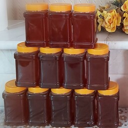 عسل کوهی گون درجه یک محصول اشترانکوه بهبود دهنده طبیعی(مستقیم از زنبوردار) پنج  کیلویی