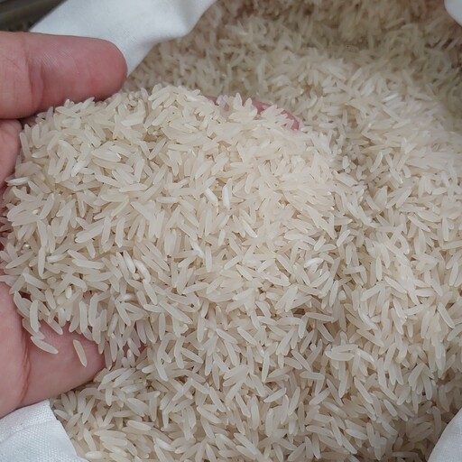 برنج فجر گرگان با قمیت و کیفیتی فوق العاده درجه یک خوشپخت 