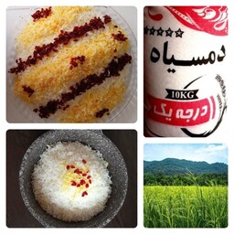 برنج امساله دمسیاه استانه اشرفیه خوشپخت و مجلسی درجه یک