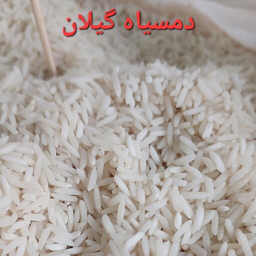  برنج دمسیاه استانه اشرفیه خوشپخت و خوش عطر  مجلسی درجه یک
