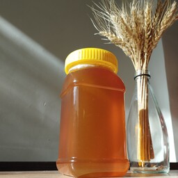 عسل مرکبات(1000 گرمی ) محصولات ارگانیک برکت عسلی با طعم و مزه فوق العاده 