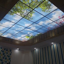 سقف کاذب تصویری (آسمان مجاری،  چاپ سریع طرح دلخواه شما)