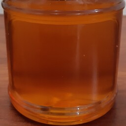 عسل گون لرستان تهیه شده از بهترین مراتع لرستان 500 گرمی