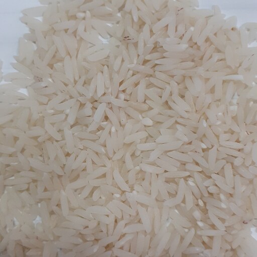 برنج طارم هاشمی محلی مازندران بوجاری نشده کیسه 10 کیلویی امساله
