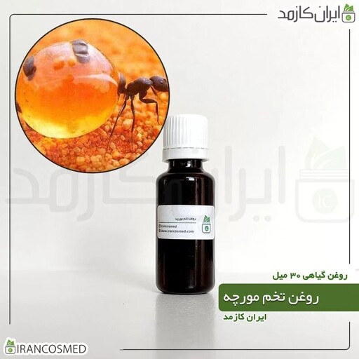 روغن تخم مورچه پرس سرد (Ant egg oil) -سایز 30میل