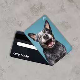 استیکر کارت بانکی مدل سگ کد CAB723-K