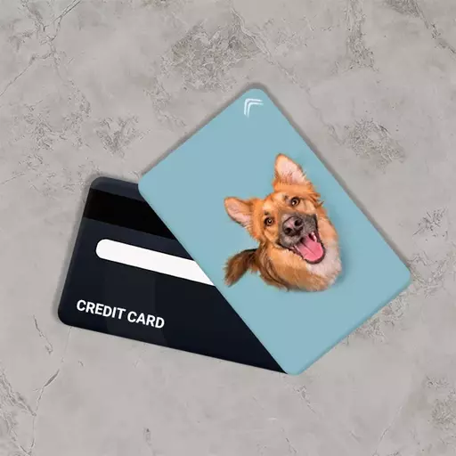 استیکر کارت بانکی مدل سگ کد CAB708-K