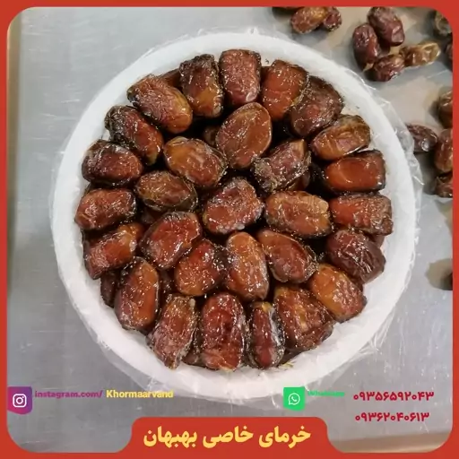 خرمای خاصی بهبهان سطل 2کیلویی اروند  این نوع خرما نرم و شیره داره است