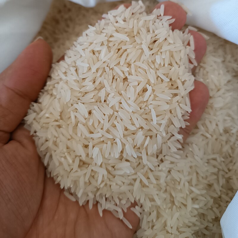 برنج  ایرانی فجر دانه بلند سوزنی معطر گرگان