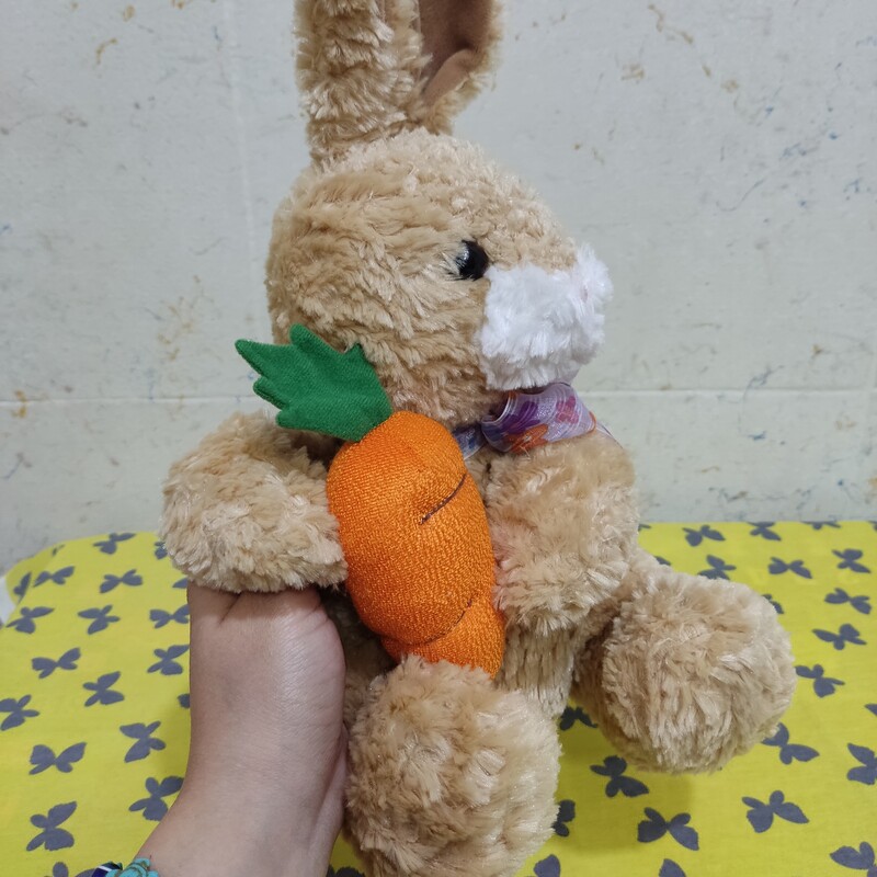 عروسک خرگوش عروسک هویج به دست عروسک خارجی عروسک ارزان عروسک خاص عروسک پولیشی 