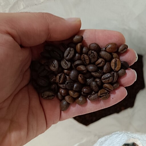قهوه روبوستا فول کافئین 