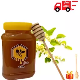 عسل طبیعی کنار  ( 2 کیلوگرم ) ( عسل هادی )مستقیم از زنبوردار 