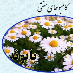 کامبوجای سنتی-خانگی بابونه نورا بانو، یک لیتری