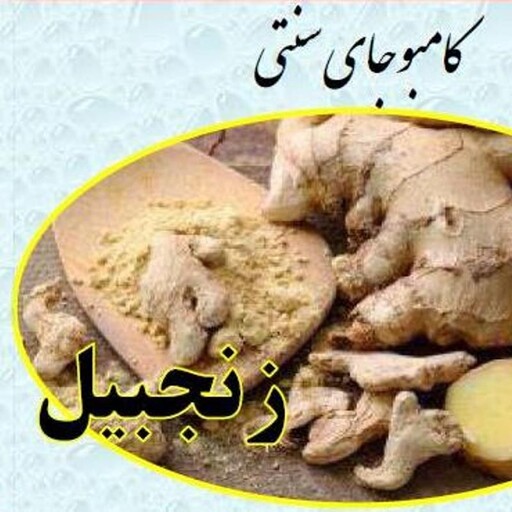 کامبوجای سنتی-خانگی زنجبیل نورا بانو، یک لیتری