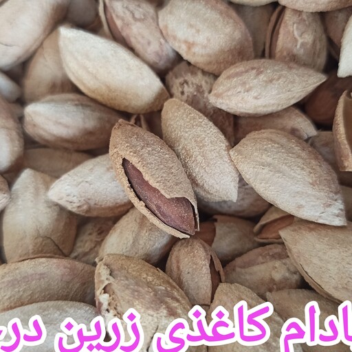 بادام کاغذی زرین تک پوست خوش طعم قیمت خیلی مناسب مغز زرد درشت 