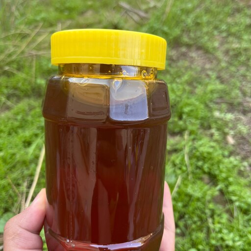 عسل - عسل کنار (سدر) با کیفیت بالا و دارای خواص دارویی در بسته بندی یک و نیم کیلویی