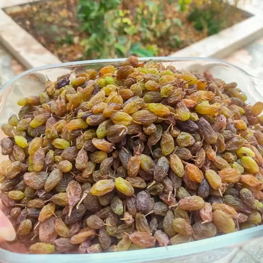 کشمش سبز (سبزه) آویز شده، تازه و امسالی، نرم،درشت و گوشتی و طبیعی، بدون هسته و پاک شده، (بسته یک کیلوگرمی)