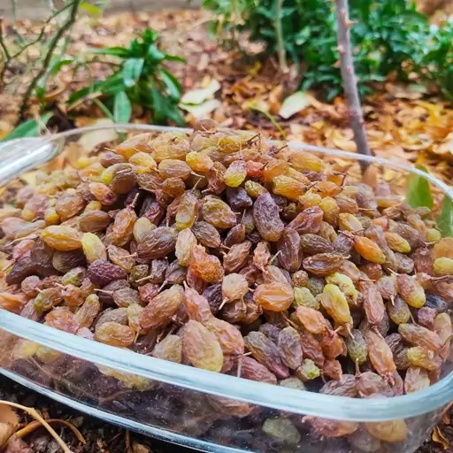 کشمش سبز (سبزه) آویز شده، تازه و امسالی، نرم،درشت و گوشتی و طبیعی، بدون هسته و پاک شده، (بسته یک کیلوگرمی)