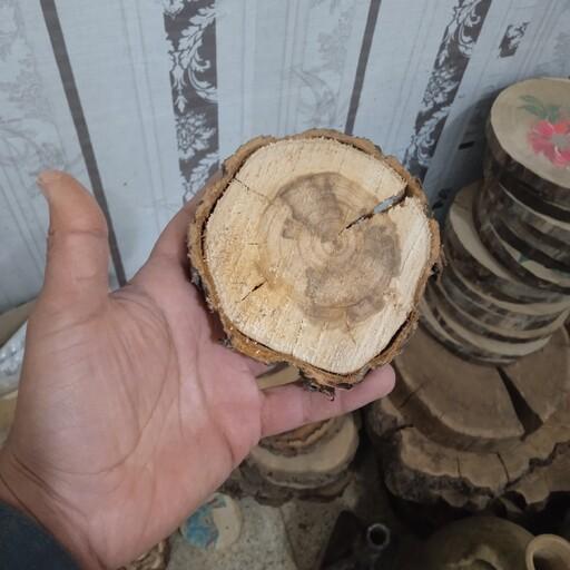 برش چوب تنه درخت سایز زیرلیوانی قطر حدود 10 سانتی متر