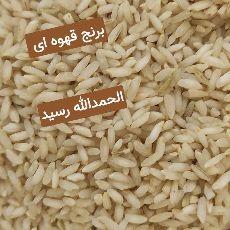 برنج قهوه ای عنبر بو (حاج احمد) ده کیلویی 