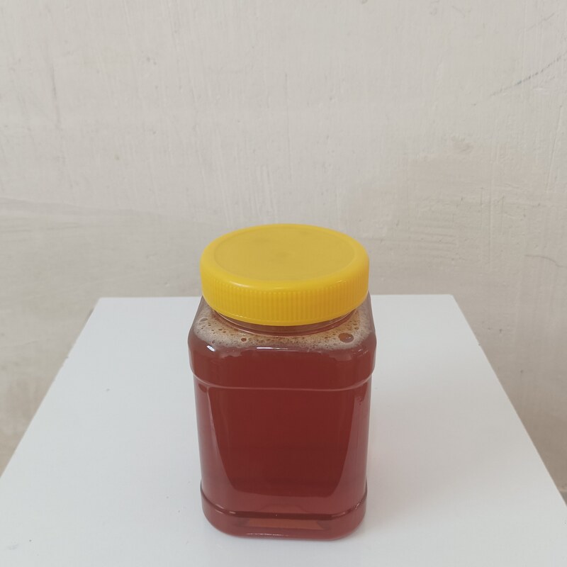 عسل کنار امساله ارگانیک با پرولین 780 (یک کیلویی)