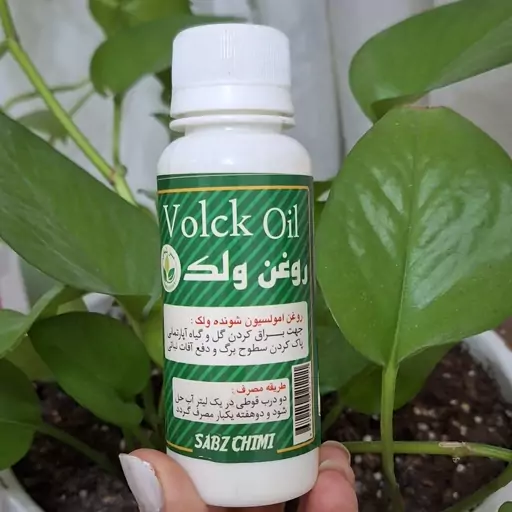 روغن ولک . پاکسازی و براق کردن برگها