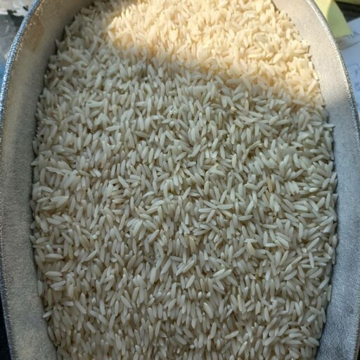 برنج هاشمی سبوس دار  الک شده محصول امسال خوش خوراک  معطر  دانه درشت  ،گیلان چوکام