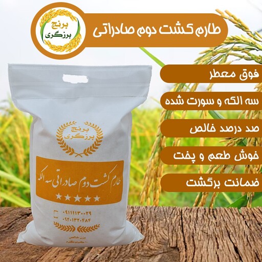 برنج طارم کشت دوم معطر صادراتی امساله  50 کیلویی