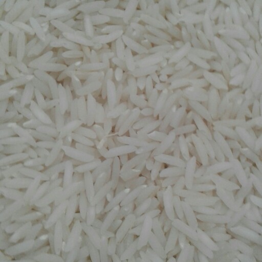 برنج هاشمی درجه یک شمال امساله 5 کیلو گرم 