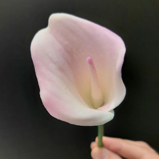 شاخه گل شیپوری سفید بنفش (لیلی) لمسی درجه یک