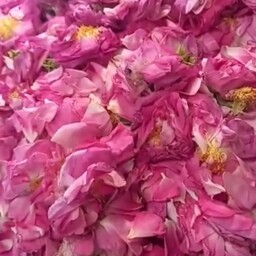 گلاب خانگی تهیه شده از گلهای محمدی شهر ستان خوی باکیفیت عالی وبهداشتی بدون افزودنی وطبیعی 