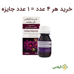 شربت گیاهی گل بنفشه 4 عددی فروشگاه گیلامی ( هر عدد 60 میلی )