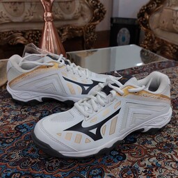 کتونی کفش اورجینال فوتبال چمن مصنوعی میزانو اورجینال 
MIZUNO WAVE  LYNX JR
سایز 35 رنگ سفید  ساخت ویتنام