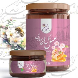 عسل ممتاز گل های بهاری، صد در صد طبیعی و خالص، عسلی بهاره و محصول استان زیبای فارس