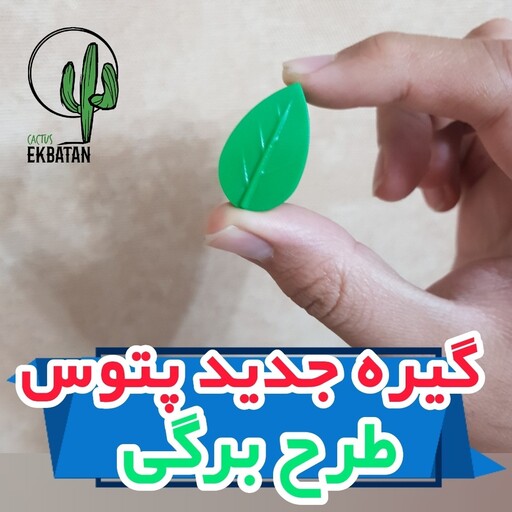 بسته 20 عددی گیره پتوس طرح برگی جهت شکل دهی و نظم دهی به گیاهان اپارتمانی