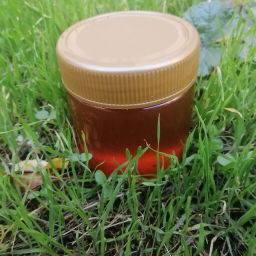 عسل چهل گیاه طبیعی  (نیم کیلویی) ری را