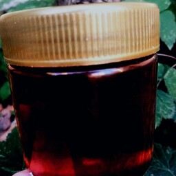 عسل سیاه دانه نیم کیلویی