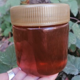 عسل چهل گیاه طبیعی  (نیم کیلویی) ری را