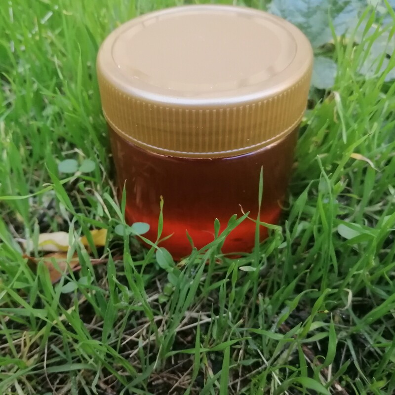 عسل گون طبیعی (نیم کیلویی) ری را