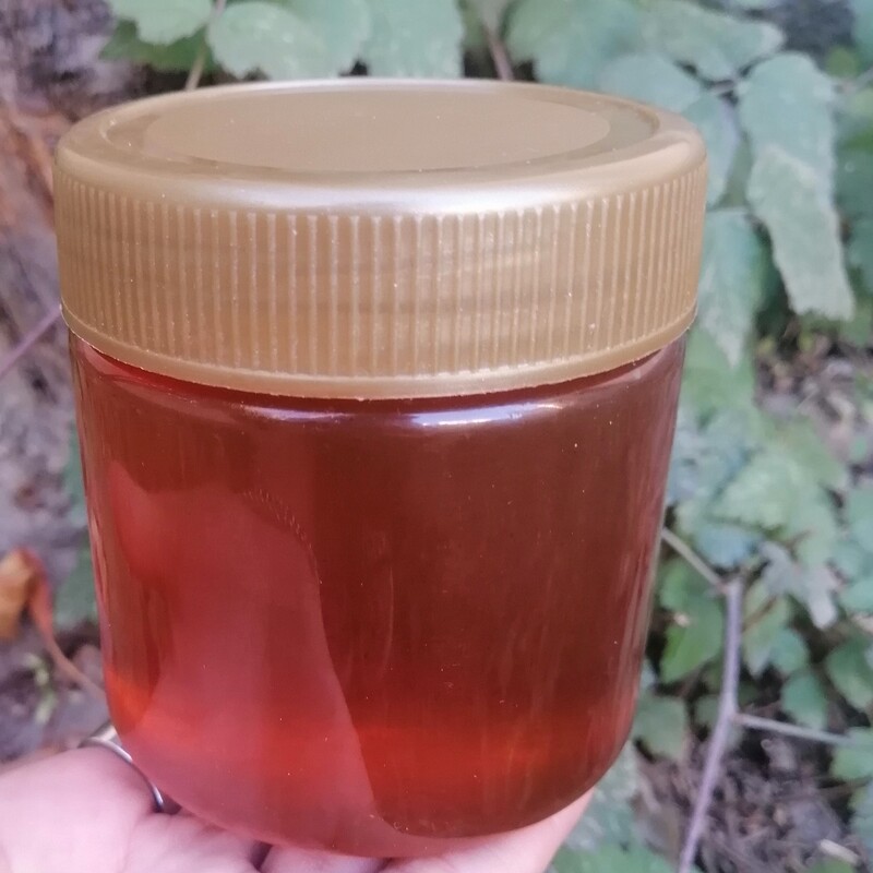 عسل گون طبیعی (نیم کیلویی) ری را