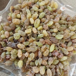 کشمش سایه خشک اعلا کد14(1000گرمی)