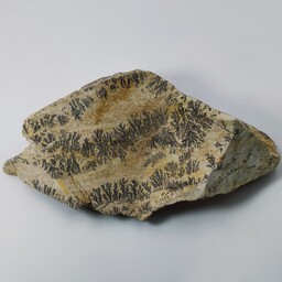 راف سنگ شجر فسیلی (دندریتی) یا پیرولوزیت معدنی و طبیعی
