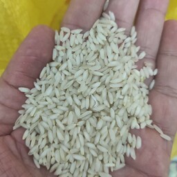 برنج عنبر بو خوزستان قیمت بسیار مناسب