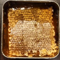 عسل طبیعی سبلان (800 گرم) اردبیل 