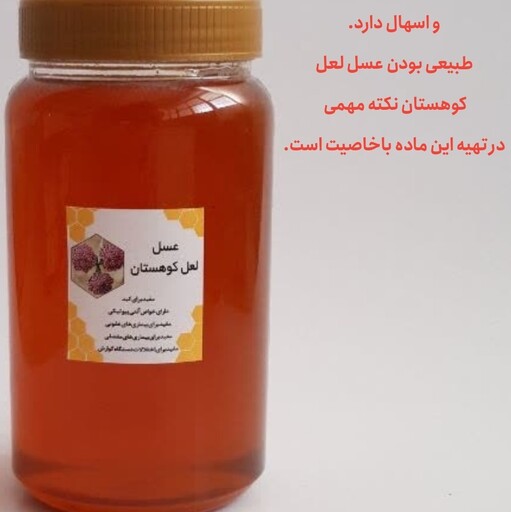 عسل لعل کوهستان (دن مشکورک) 500 گرم  پرولین بالای 1000