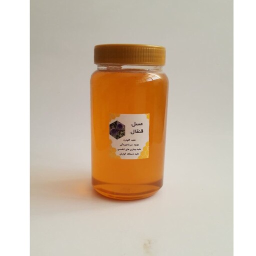 عسل صددرصد طبیعی قنقال یا گیاه شکر تیغال ساکارز2 هورتاش (1000 گرم ) به شرط 