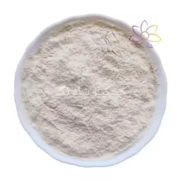 پودر سیر درجه یک تازه (نیم کیلوگرم)